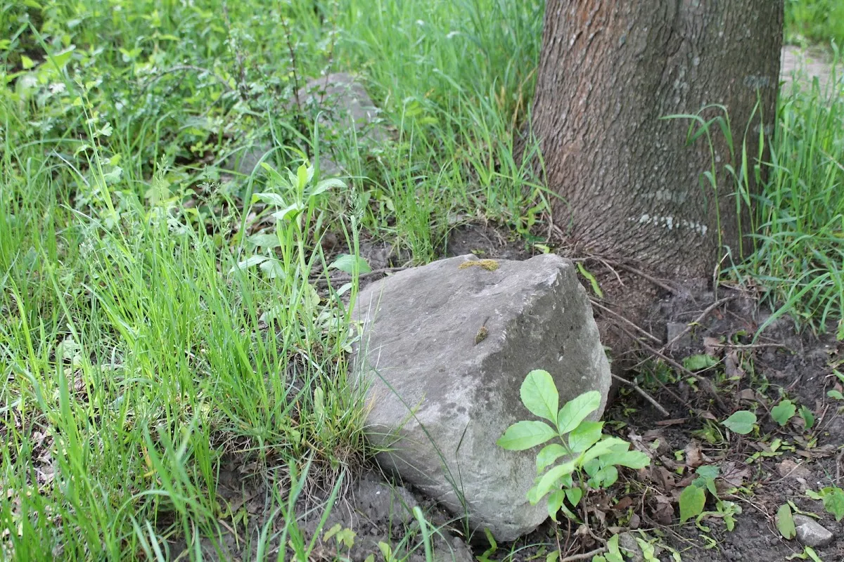 Jewish Cemetery — photo 8
