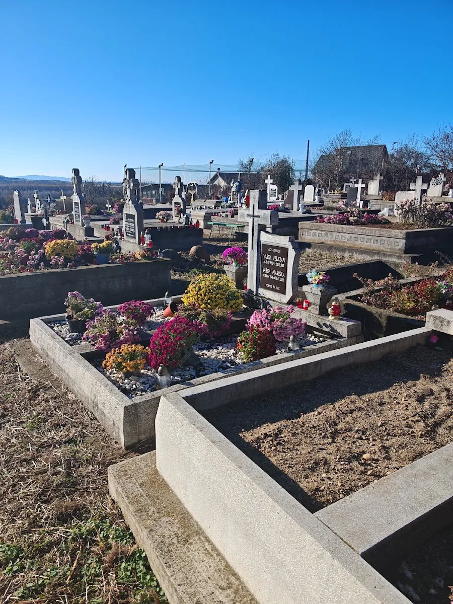 Jewish Cemetery (Baia Sprie) — foto 3