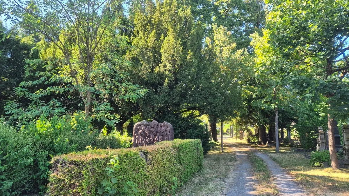 Jüdischer Friedhof Freiburg — foto 5