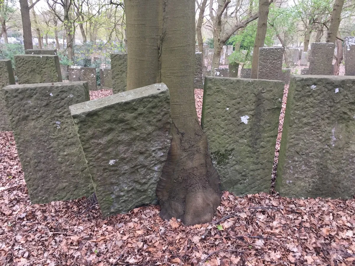 Jewish Cemetery (Muiderberg) — foto 8