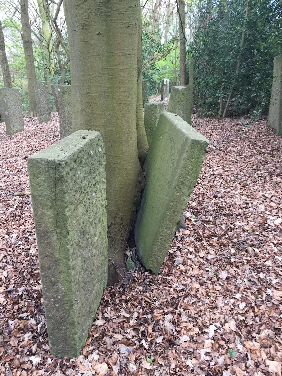 Jewish Cemetery (Muiderberg) — foto 10