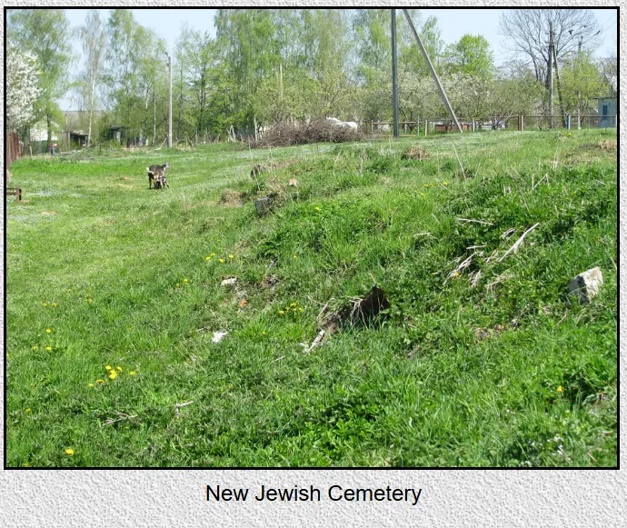 Jewish Cemetery of Bohorodchany — photo 5