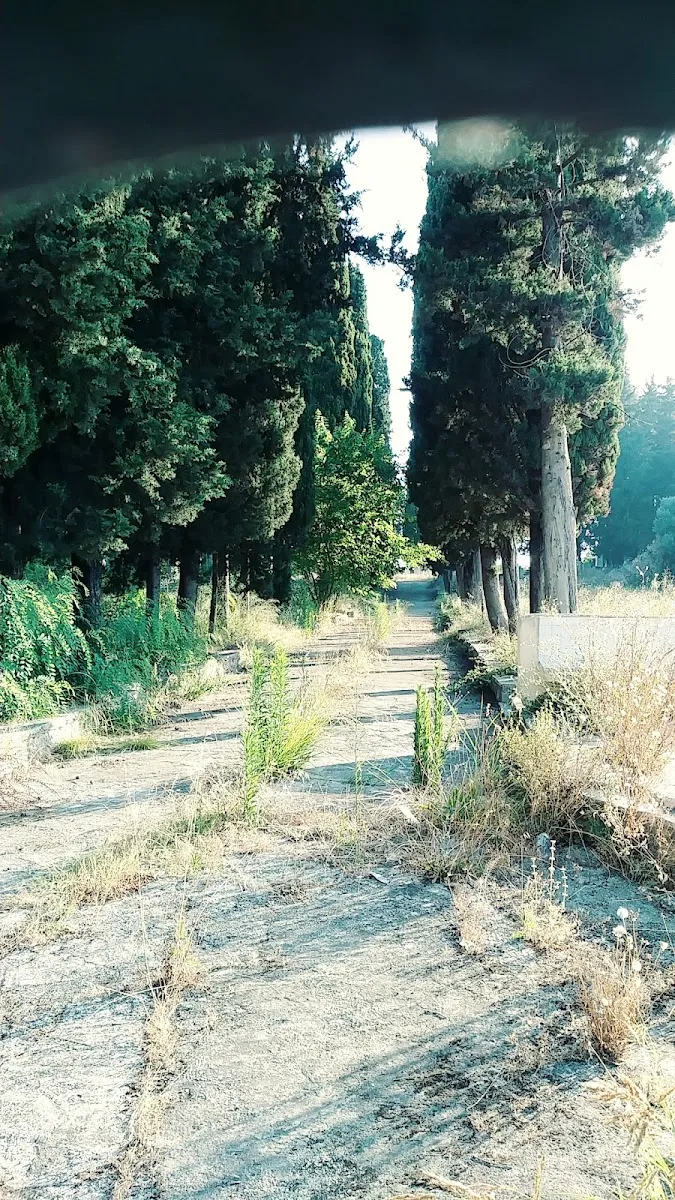 Jewish Cemetery of Corfu — foto 6