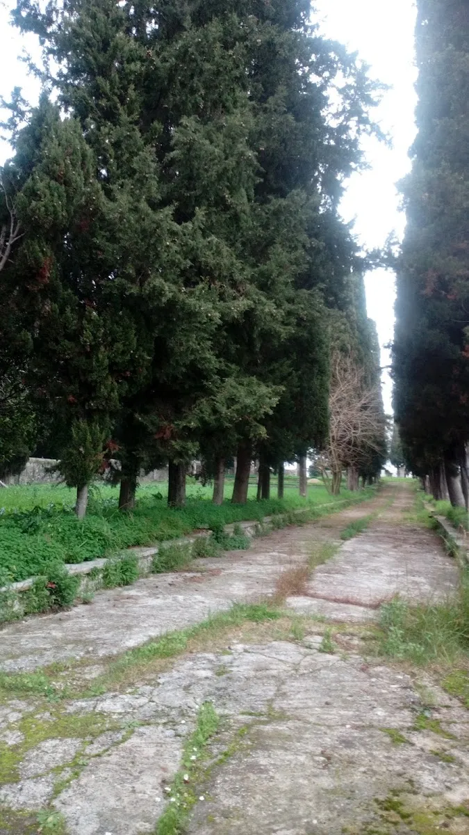 Jewish Cemetery of Corfu — foto 7