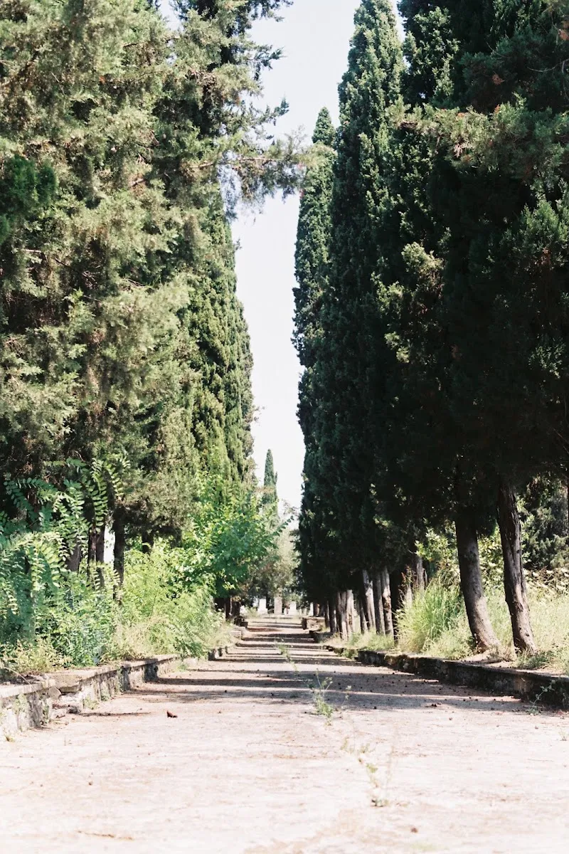 Jewish Cemetery of Corfu — foto 8