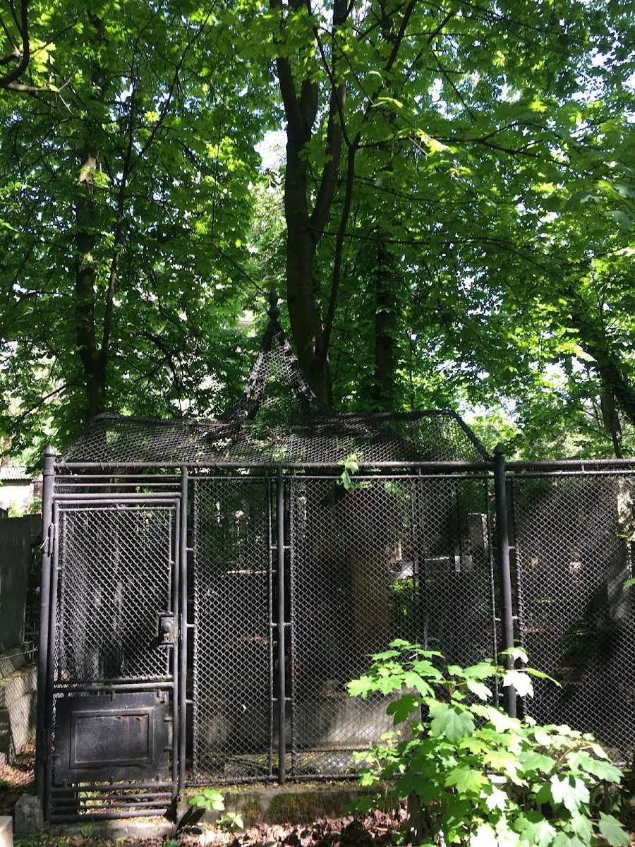 Jewish Cemetery of Lviv (Yaniv) — photo 3