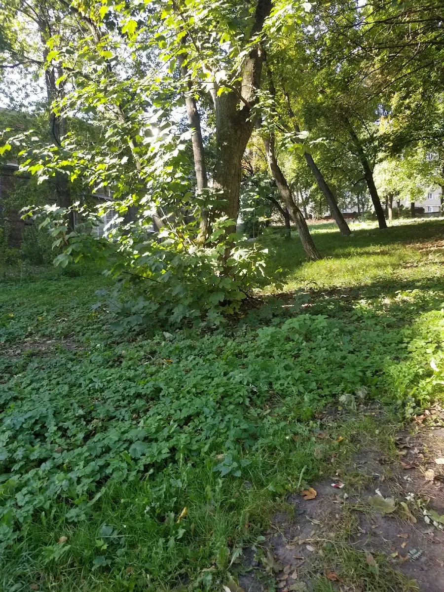 Jewish Cemetery of Lviv (Yaniv) — photo 5