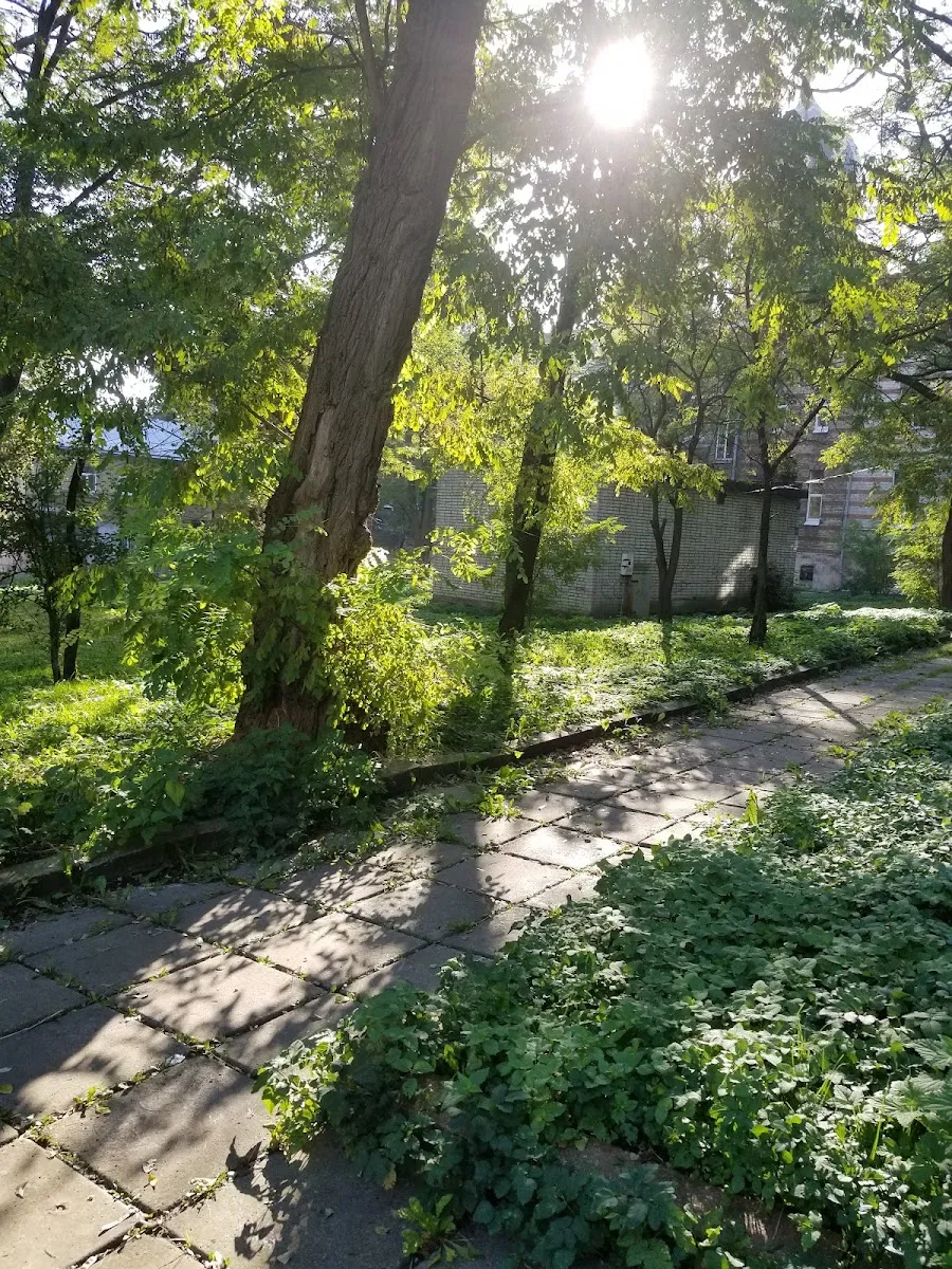 Jewish Cemetery of Lviv (Yaniv) — photo 8