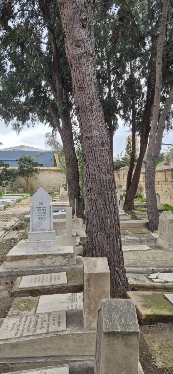 Jewish Cemetery of Marsa — foto 3