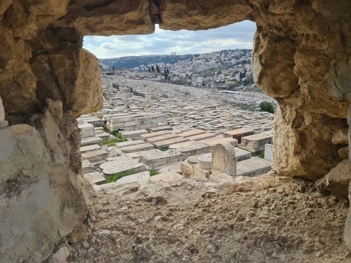 Jewish Cemetery — photo 6
