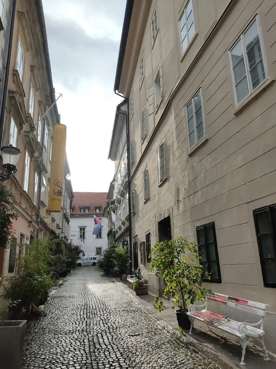 Jewish Centre Ljubljana and Synagogue — foto 3