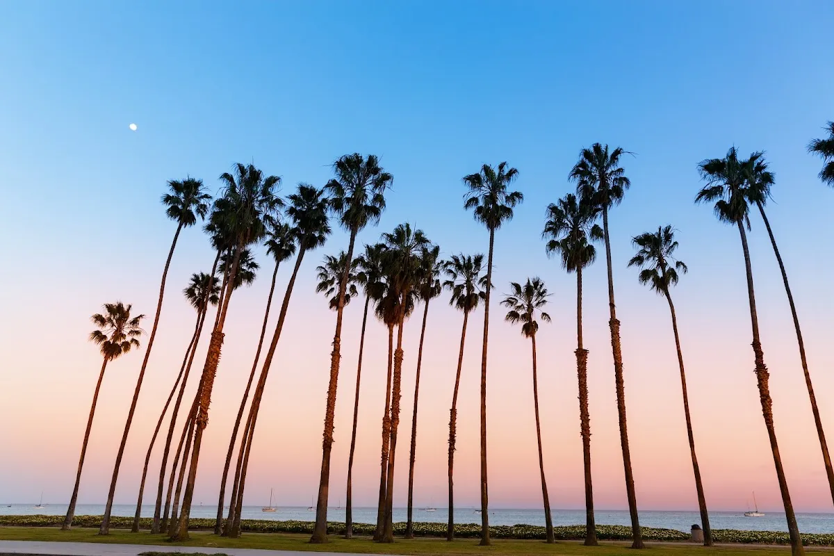Jewish Federation of Greater Santa Barbara — photo 6