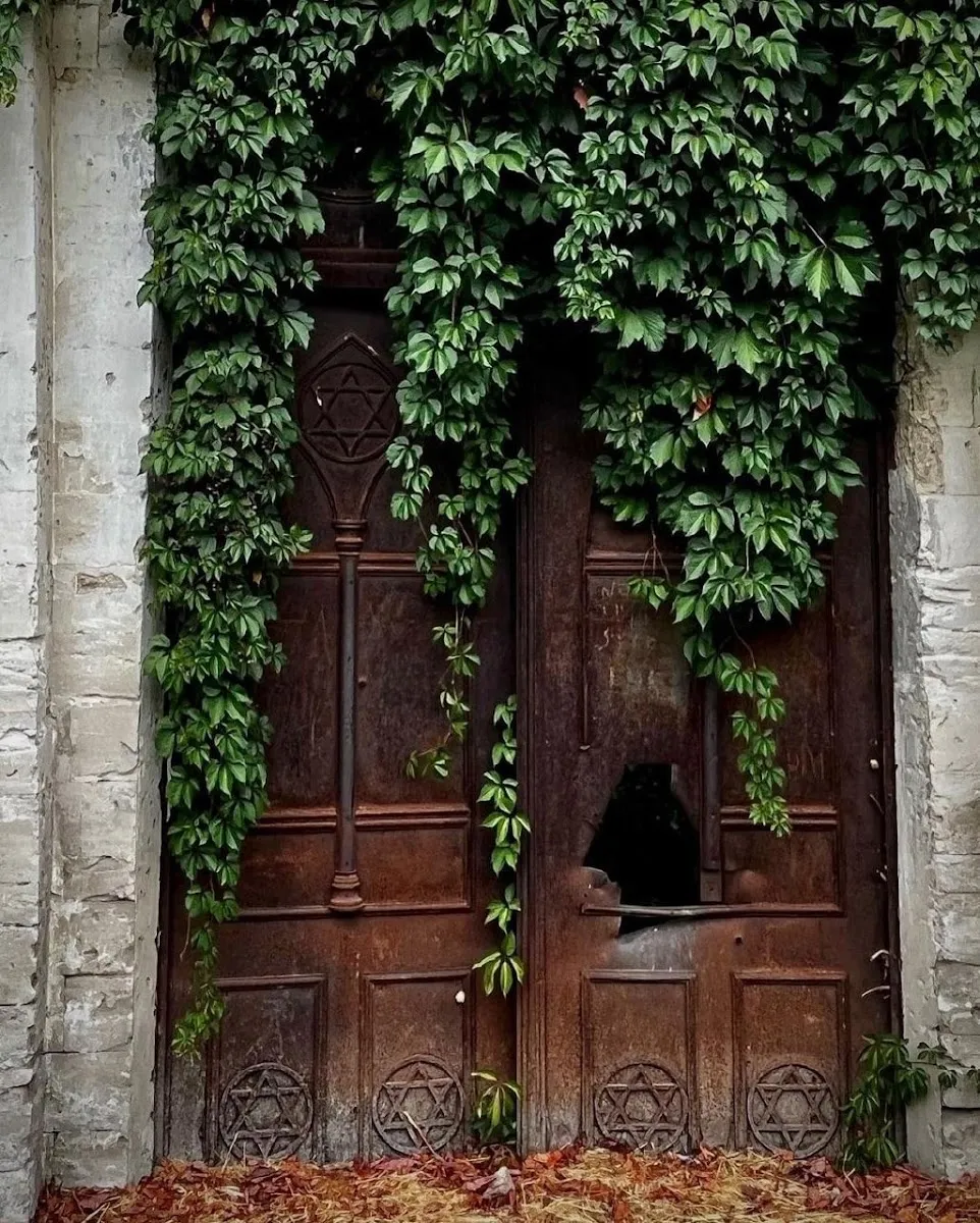 Jewish Funeral Hall (ruined) — foto 8