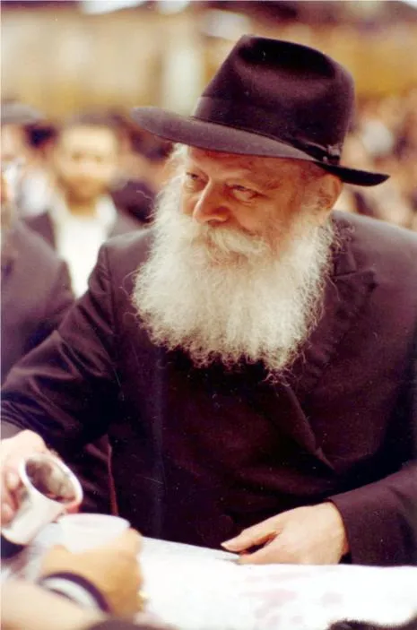 Jewish National Charity — photo 4