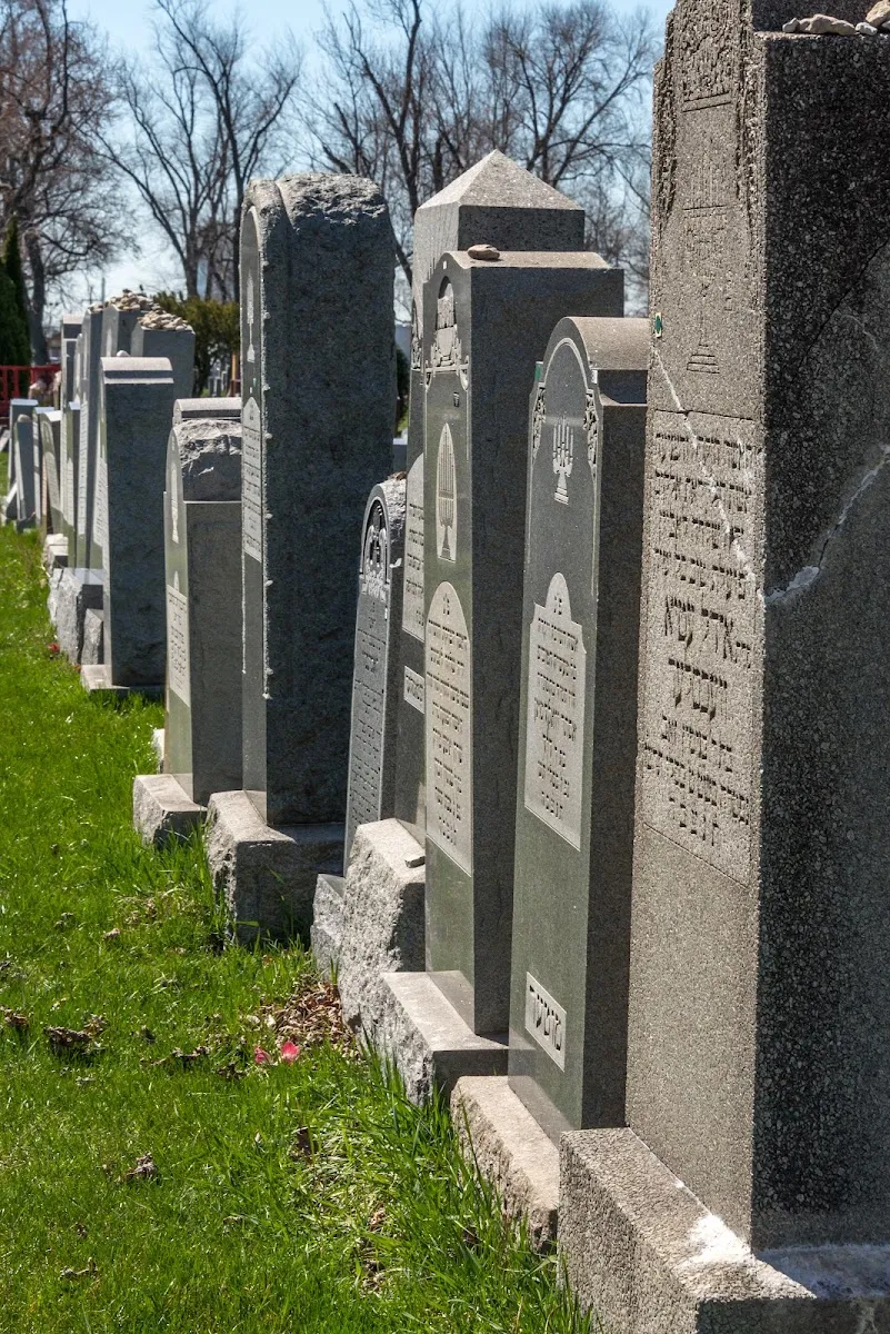 Jewish Waldheim Cemetery — foto 2