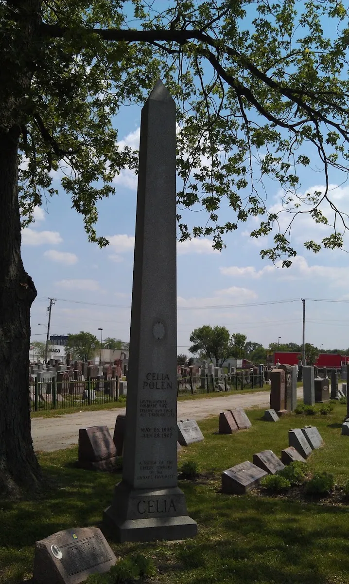 Jewish Waldheim Cemetery — foto 9