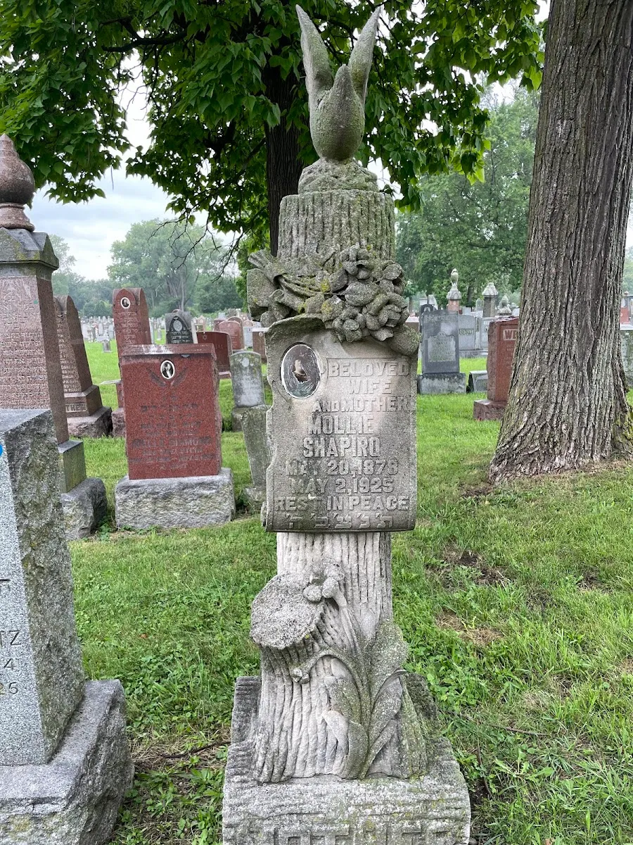 Jewish Waldheim Cemetery — foto 10