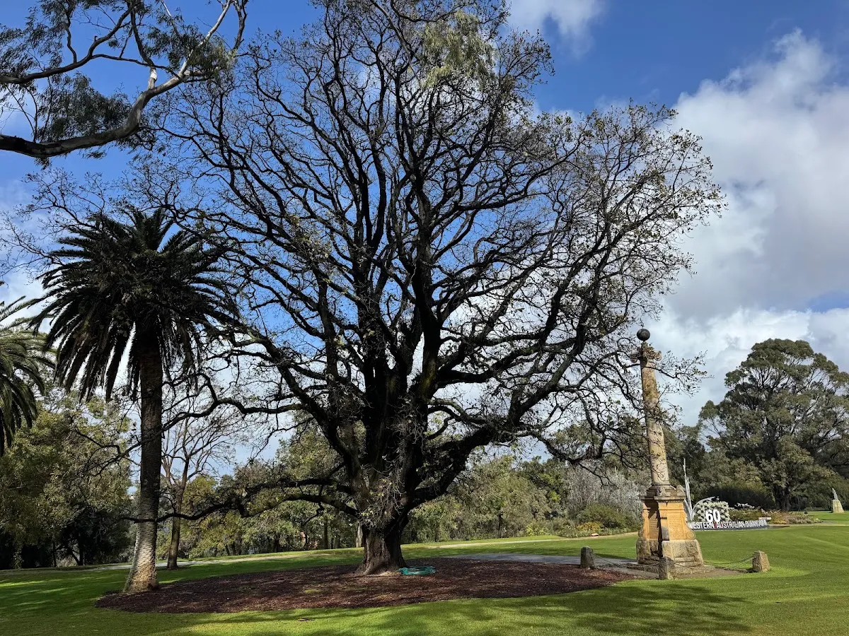 Jewish War Memorial de Perth — photo 6