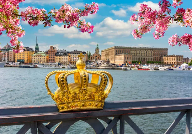 Joni Tours Stockholm — foto 5