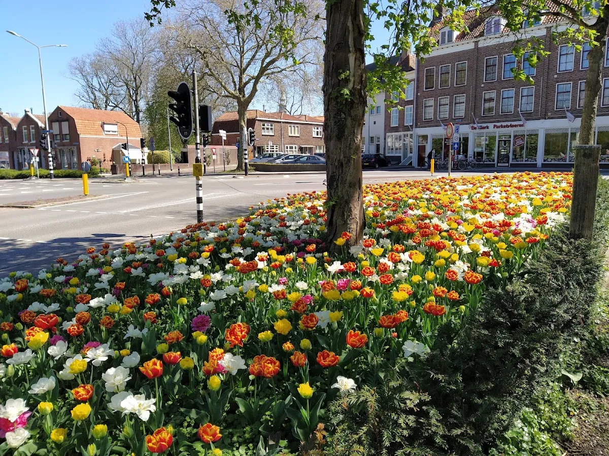Joodse begraafplaats Seisplein — photo 2