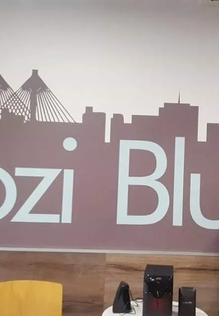 JoziBlue Long Ave — foto 3