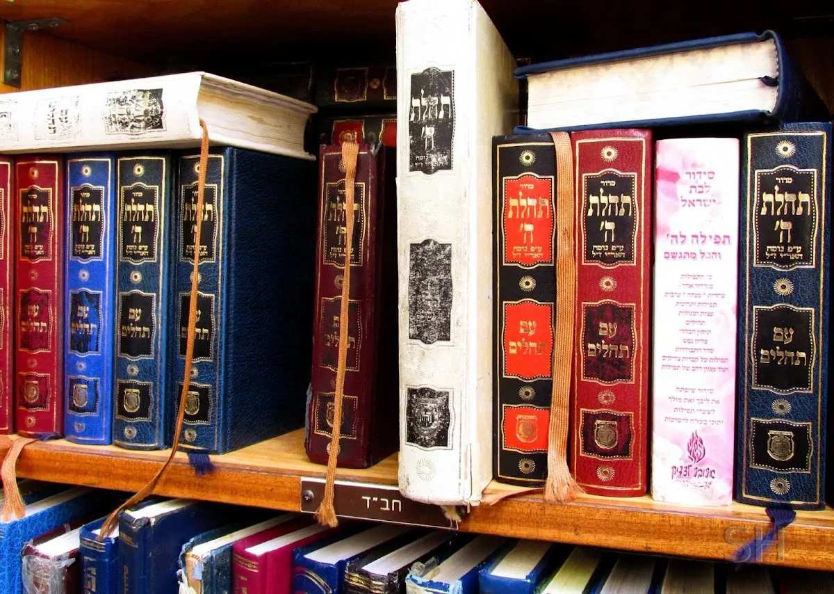 Judaica of Great Neck Ltd — photo 4