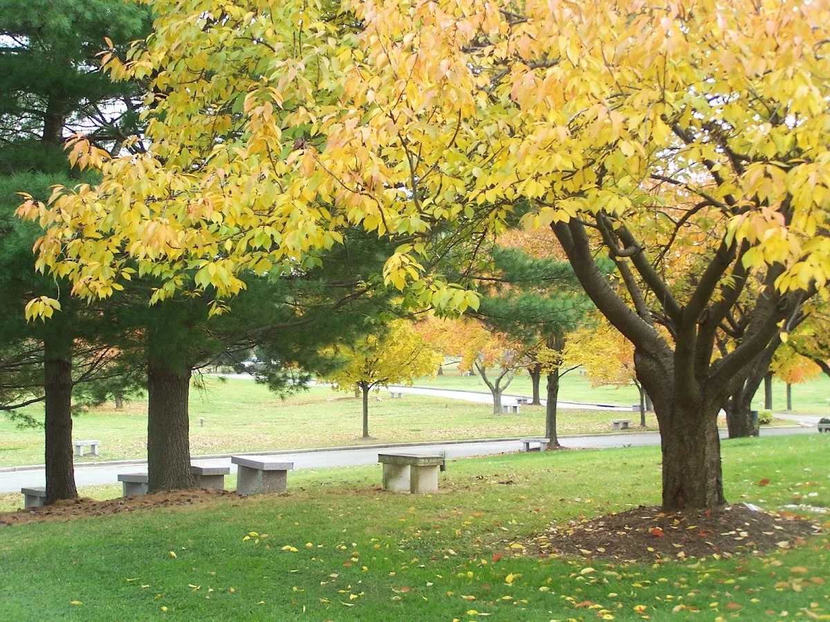 Judean Memorial Gardens / Cemetery