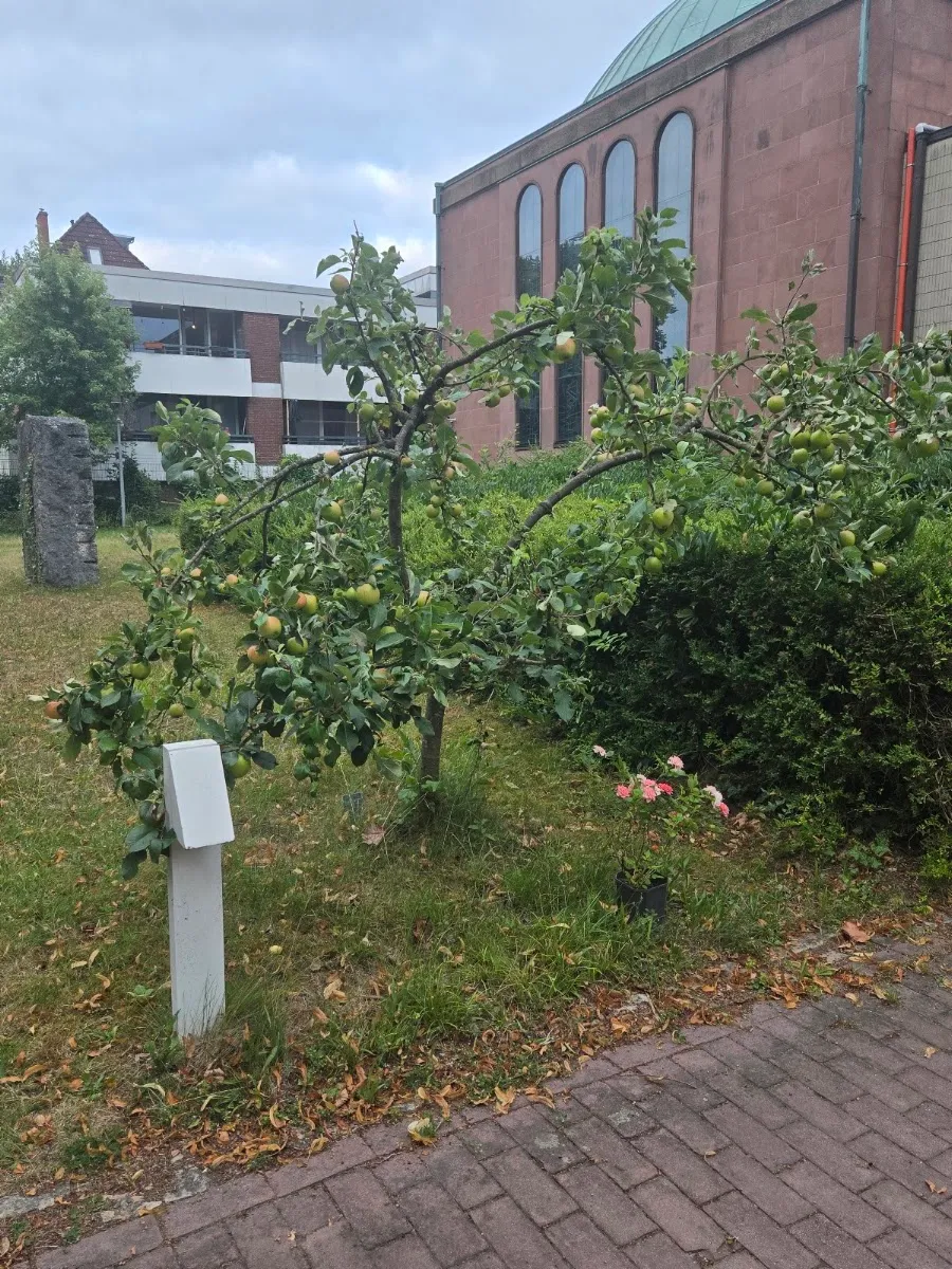 Jüdische Gemeinde Bremen — photo 6