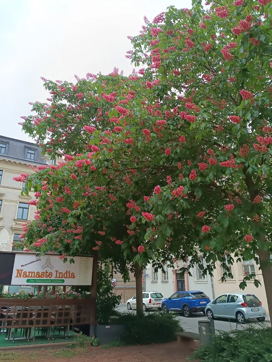 Jüdische Gemeinde Halle — foto 5