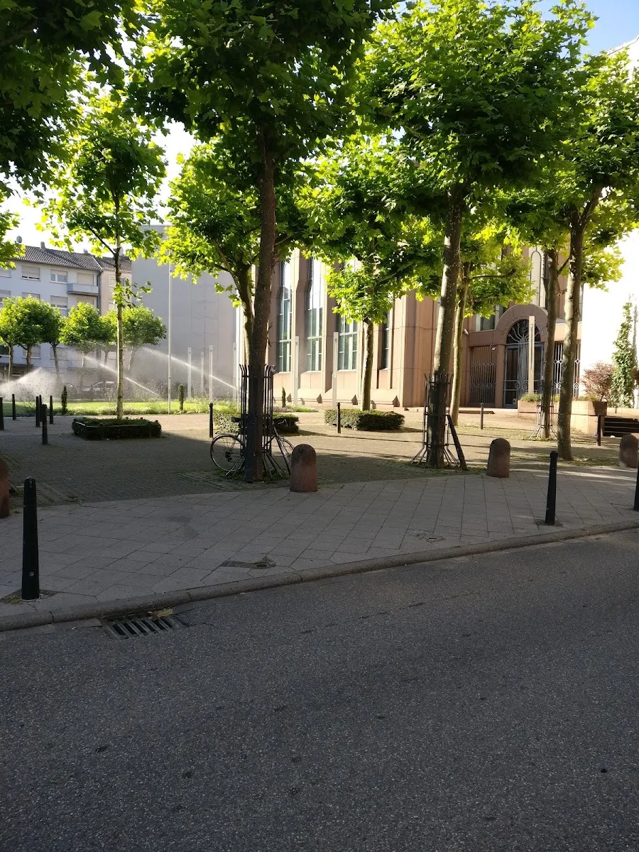 Jüdische Gemeinde Mannheim — photo 9