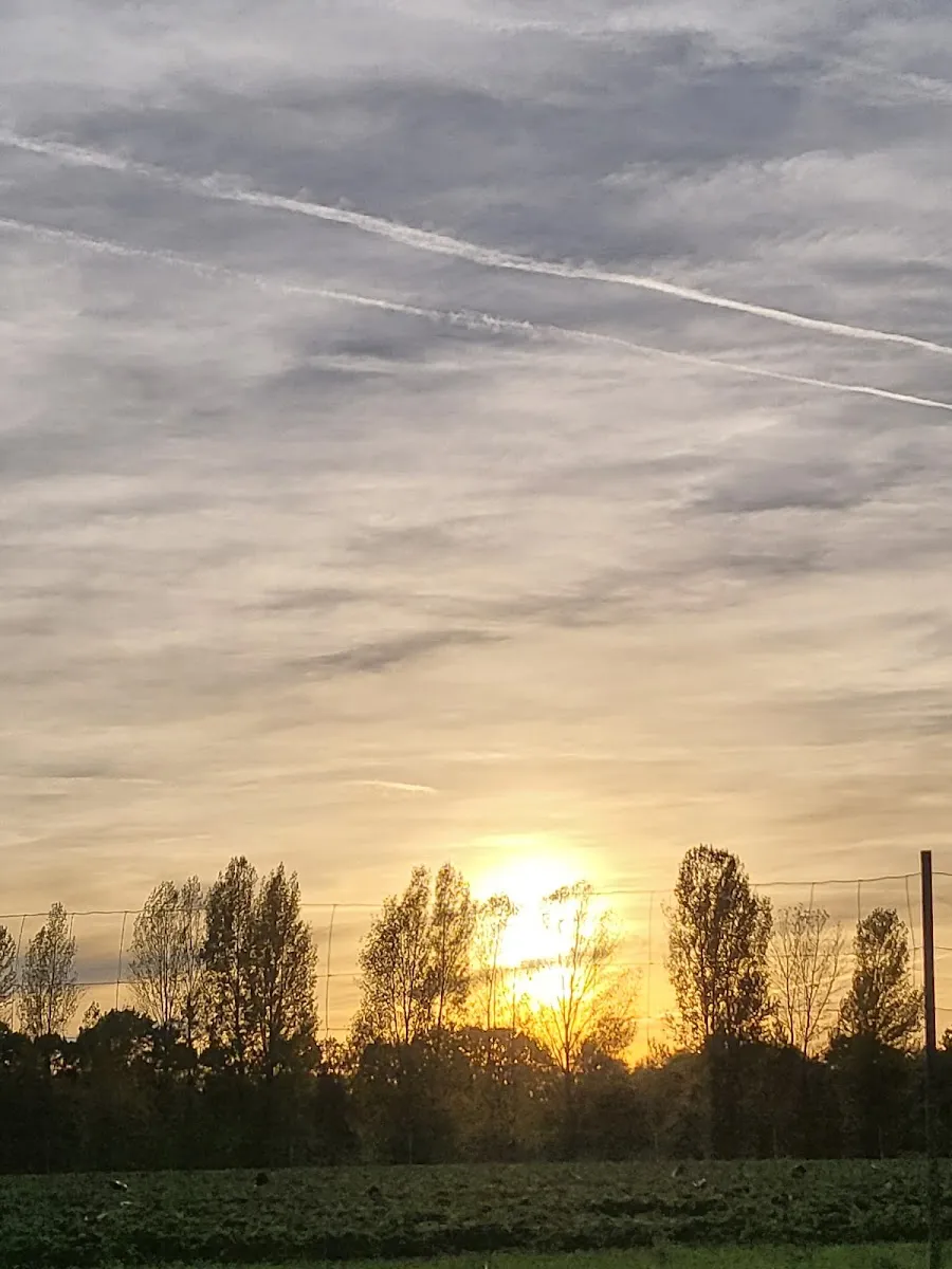 Jüdische Gemeinde Münster — photo 10