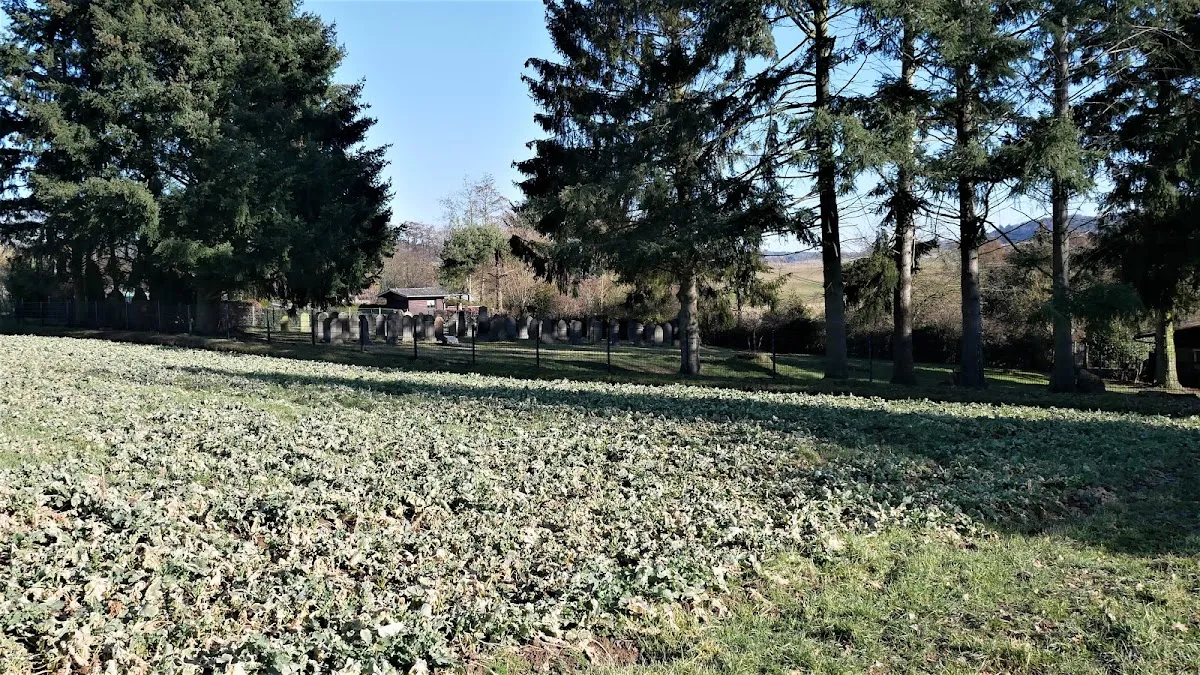 Jüdischer Friedhof Allendorf (Lumda) — photo 7