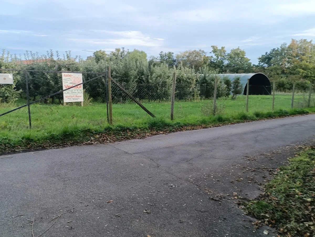 Jüdischer Friedhof Bad Cannstatt (Ziegelbrennerstraße) — foto 2