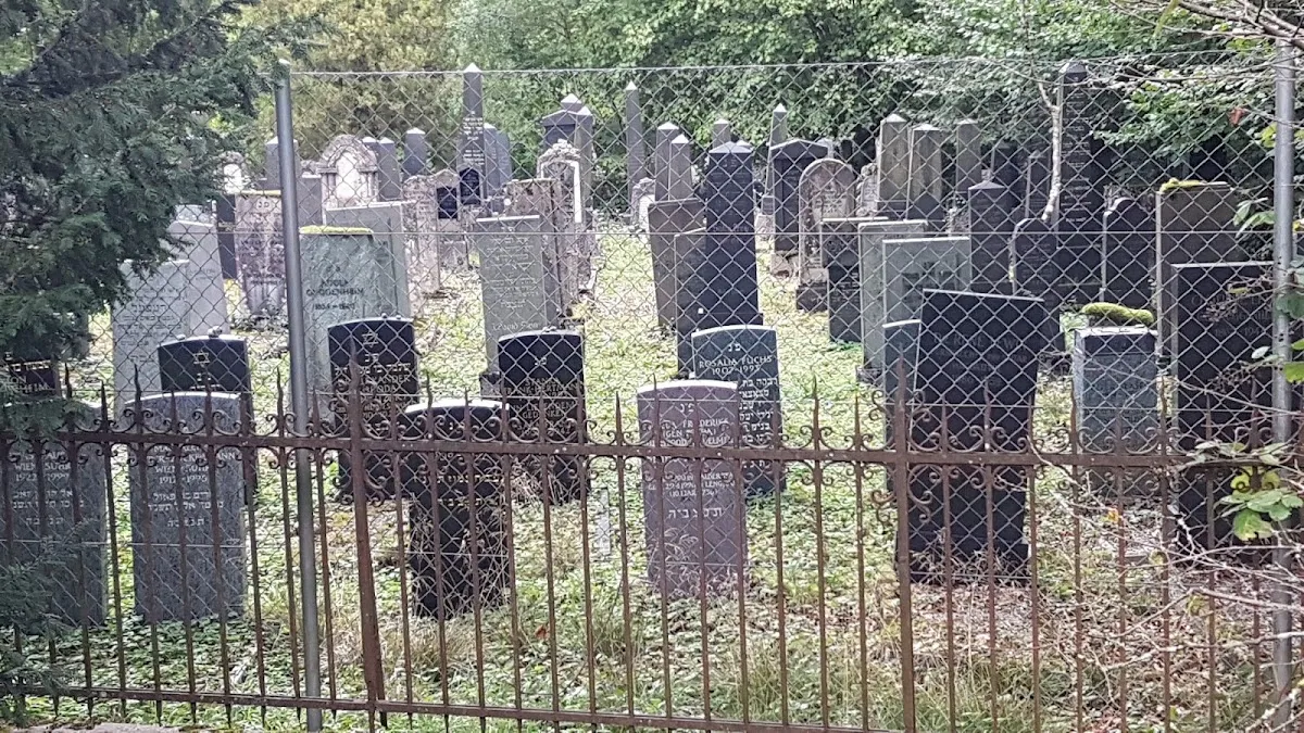 Jüdischer Friedhof Baden — photo 6