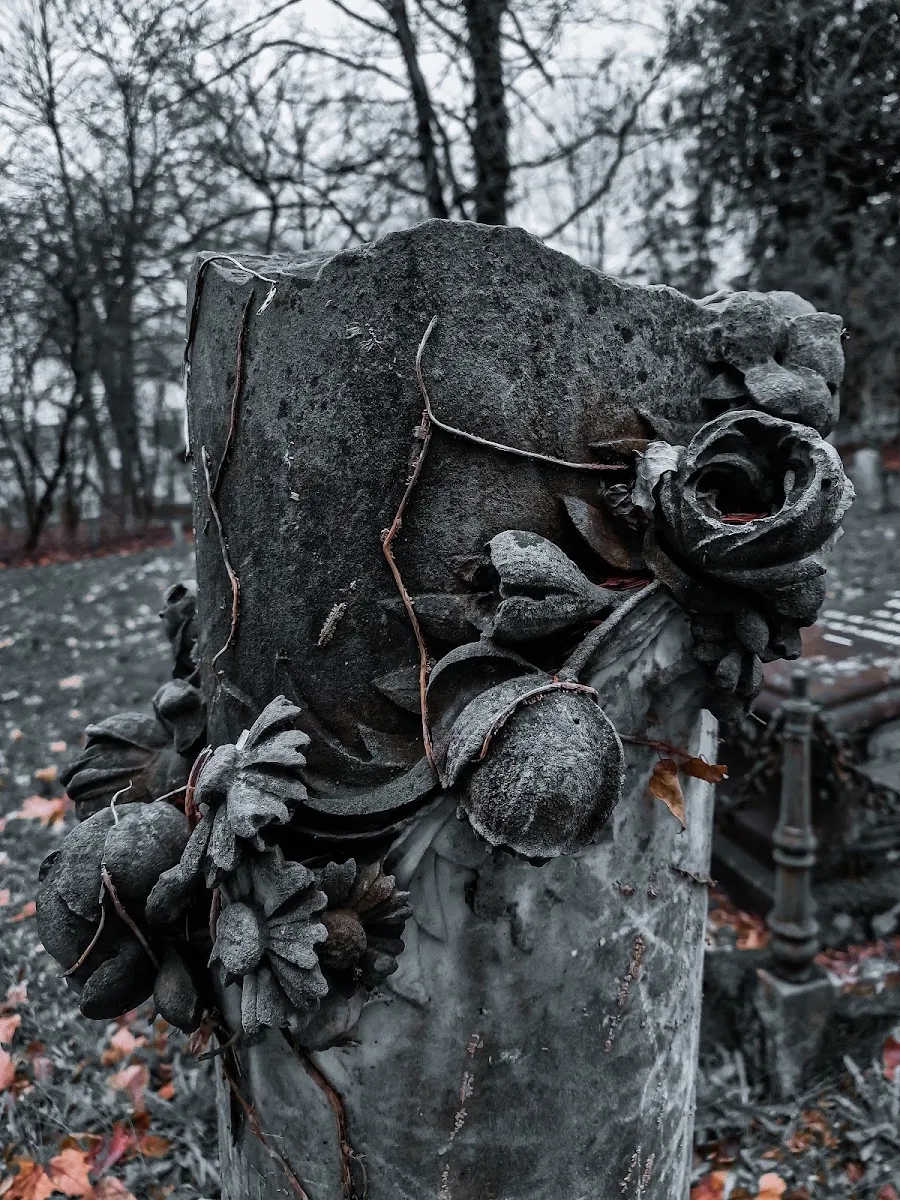 Jüdischer Friedhof Bern — photo 5