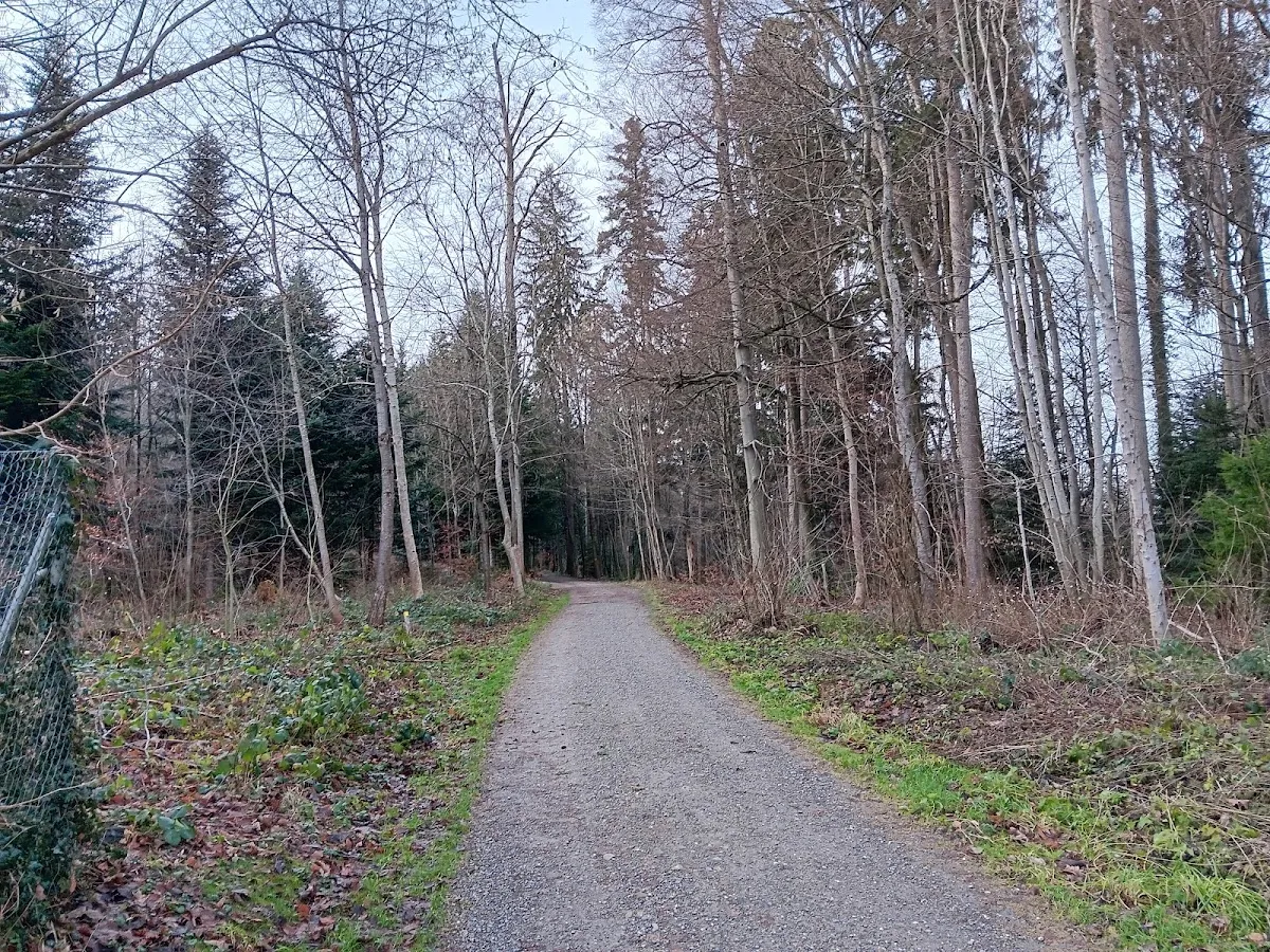 Jüdischer Friedhof Binz — foto 5