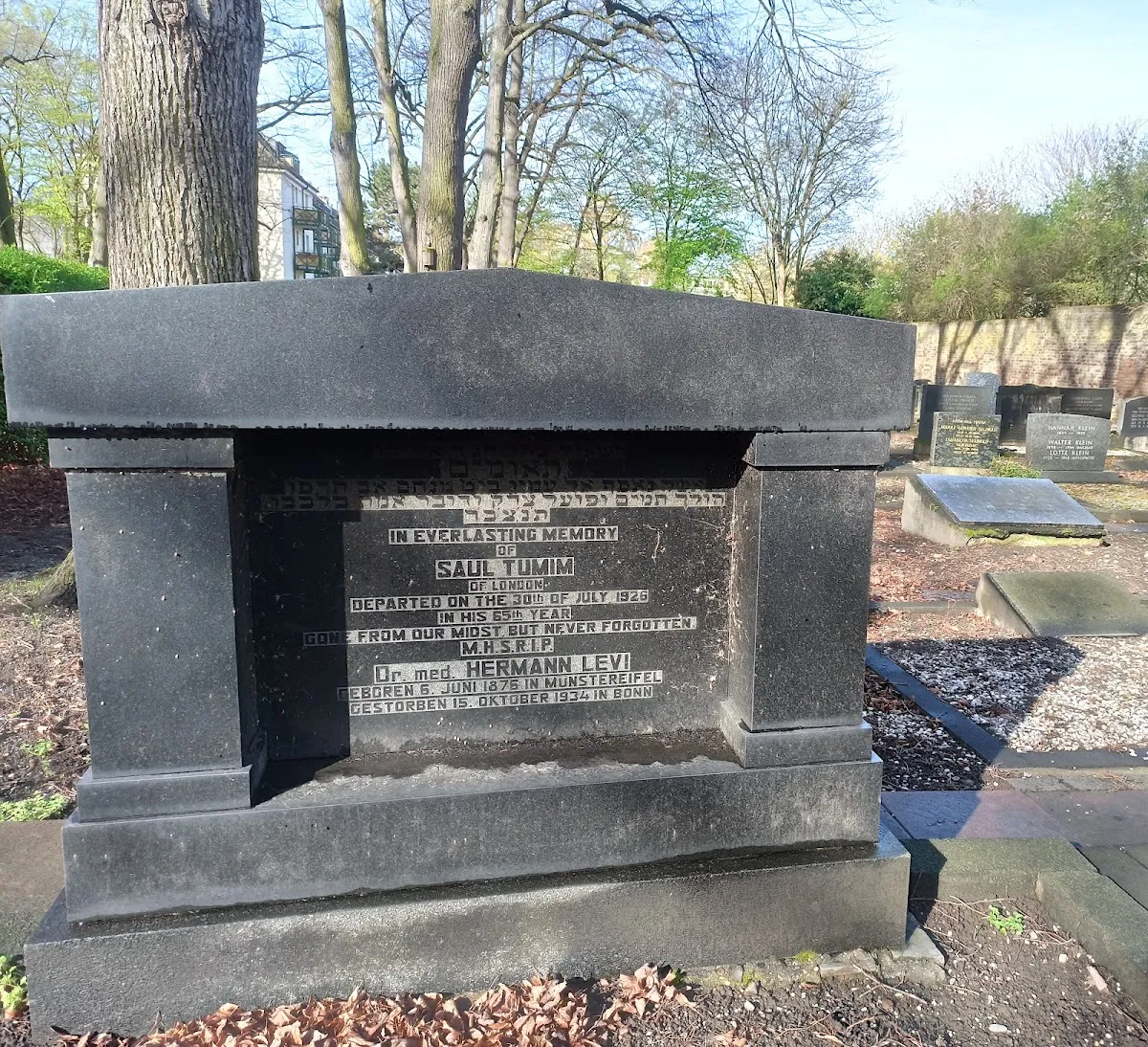 Jüdischer Friedhof Bonn (Römerstraße) — foto 8