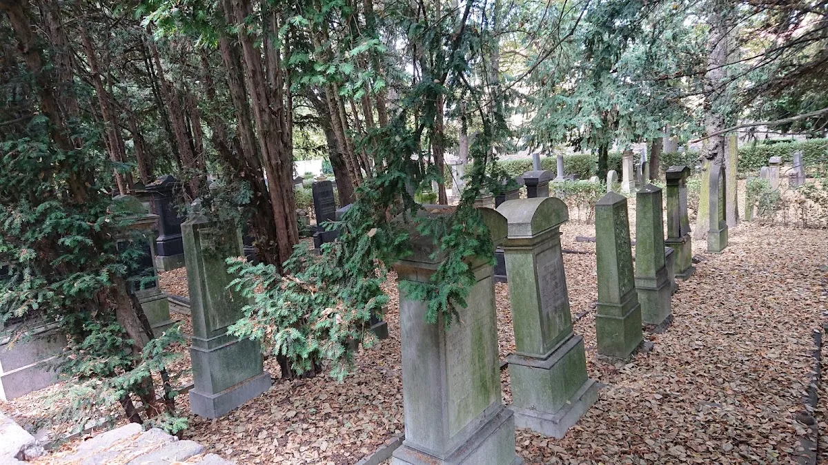 Jüdischer Friedhof Bonn (Römerstraße) — foto 10