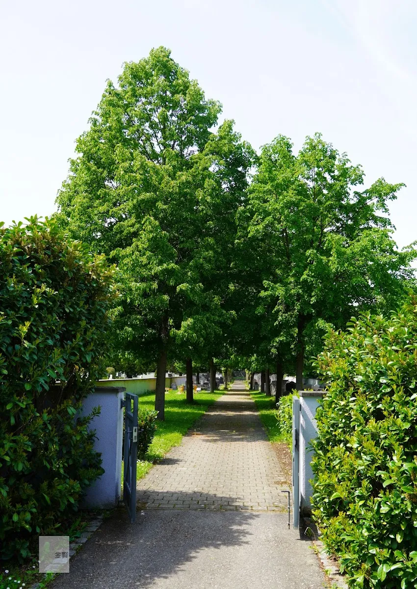 Jüdischer Friedhof Brombacher Straße — foto 4