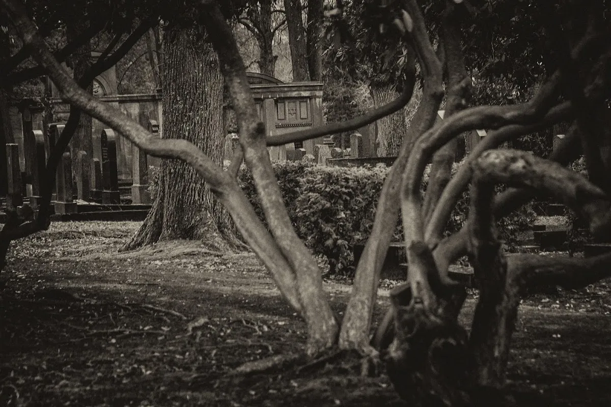 Jüdischer Friedhof Chemnitz — photo 6