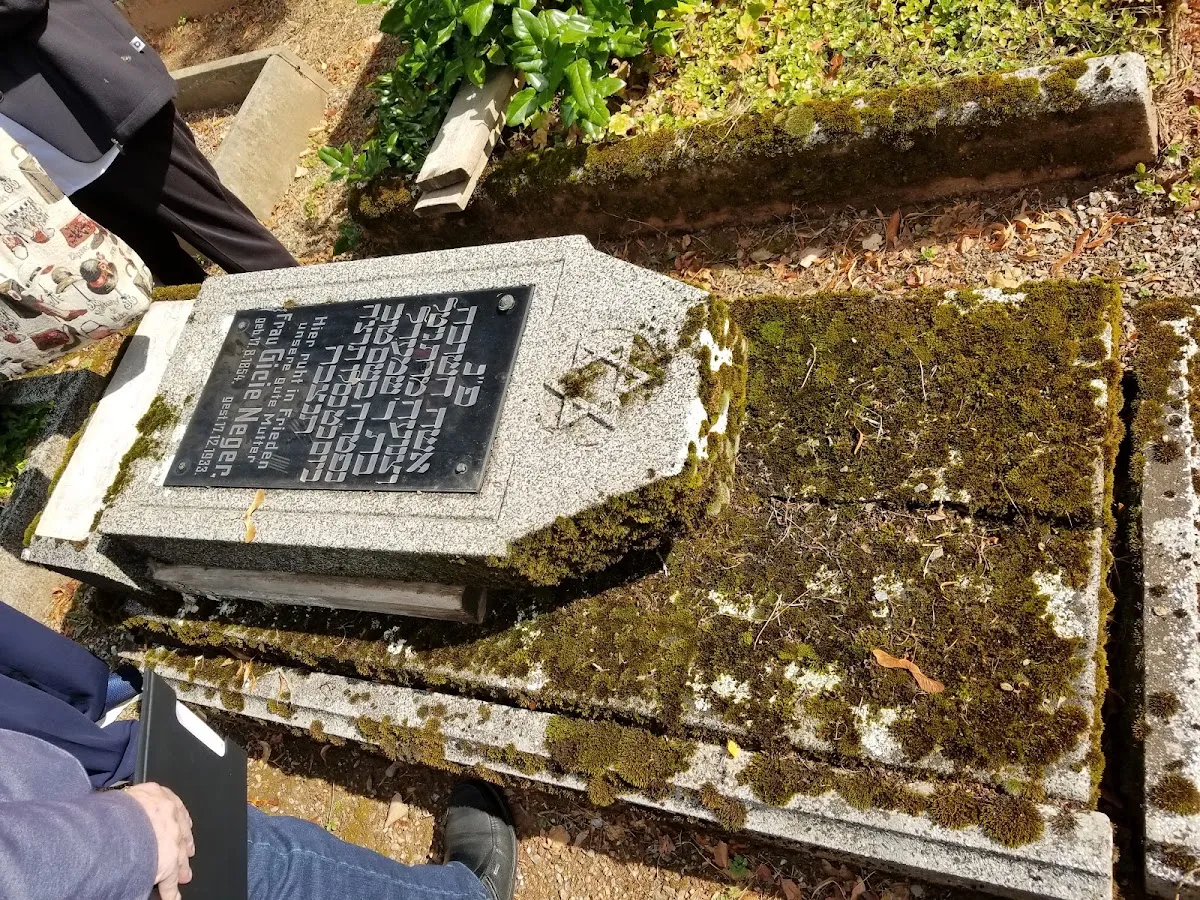Jüdischer Friedhof Chemnitz — photo 7