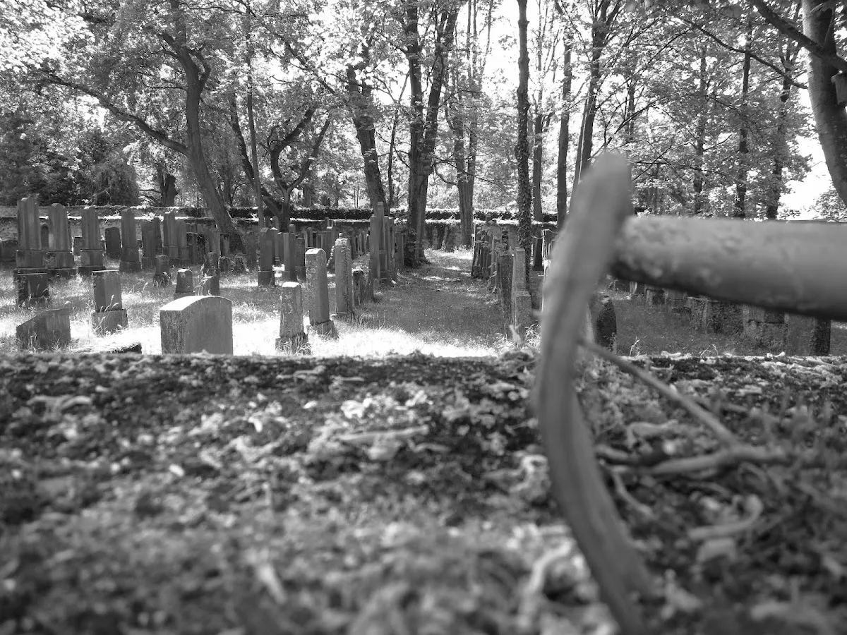 Jüdischer Friedhof Darmstadt — foto 4