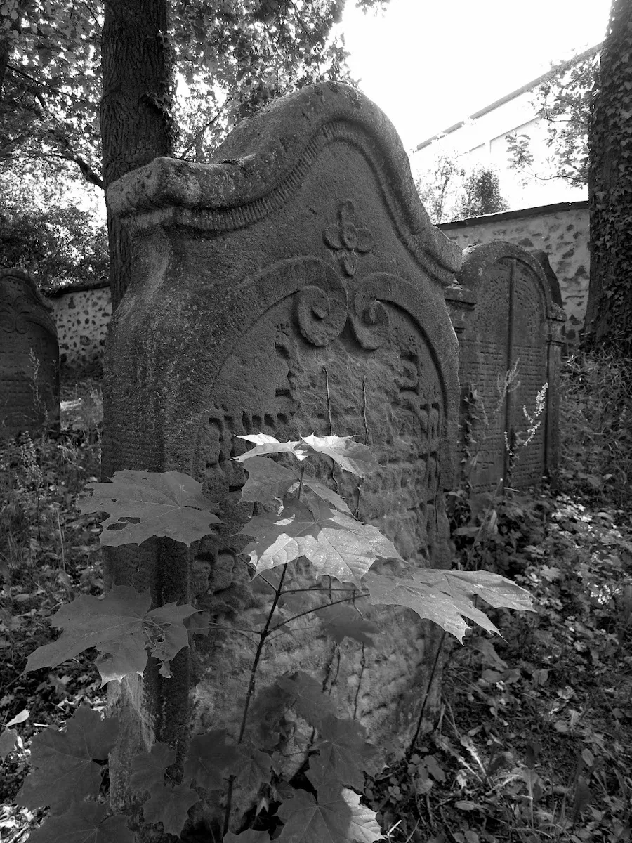 Jüdischer Friedhof Darmstadt — foto 5