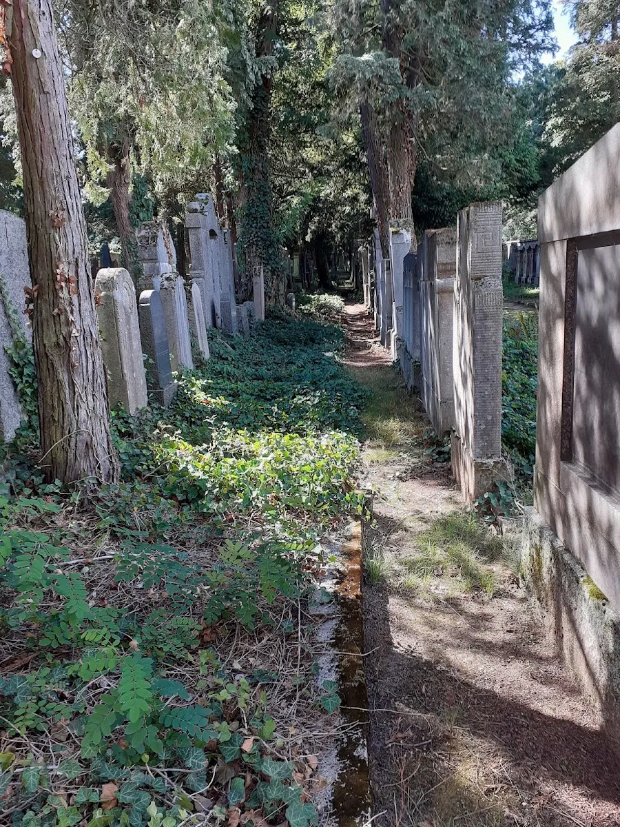 Jüdischer Friedhof Darmstadt — foto 6