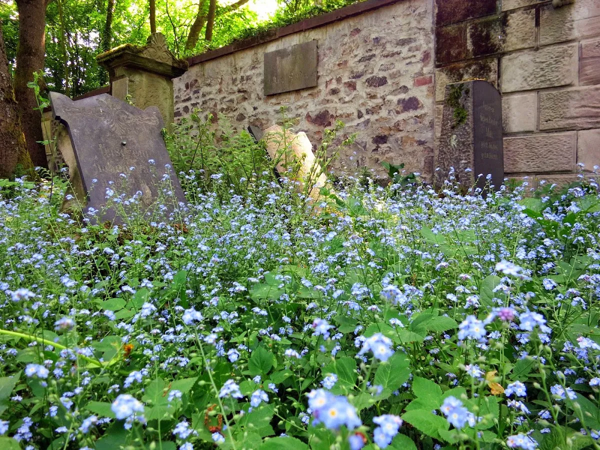 Jüdischer Friedhof Darmstadt — foto 8