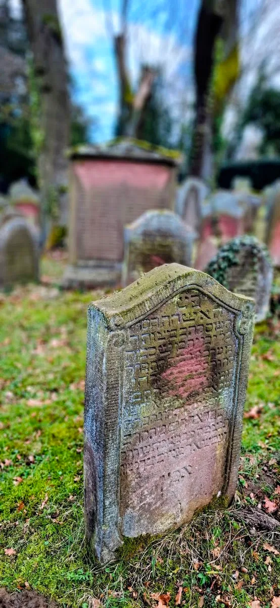 Jüdischer Friedhof Darmstadt — foto 10