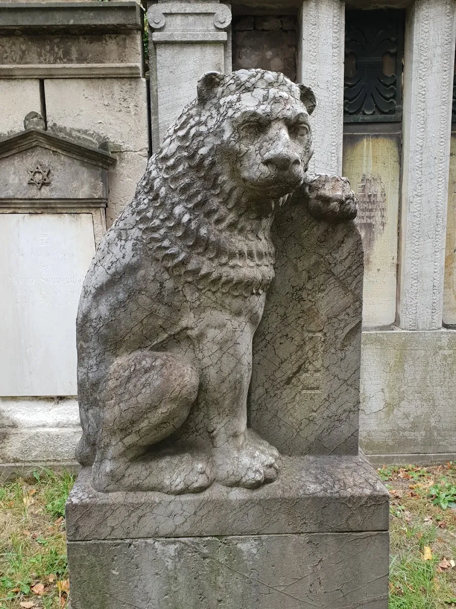 Jüdischer Friedhof Dresden — photo 7