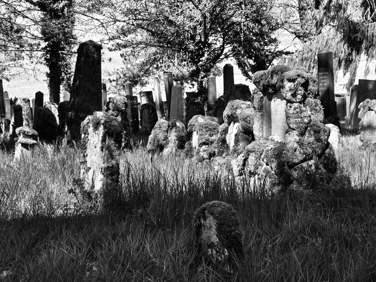 Jüdischer Friedhof Endingen — photo 10