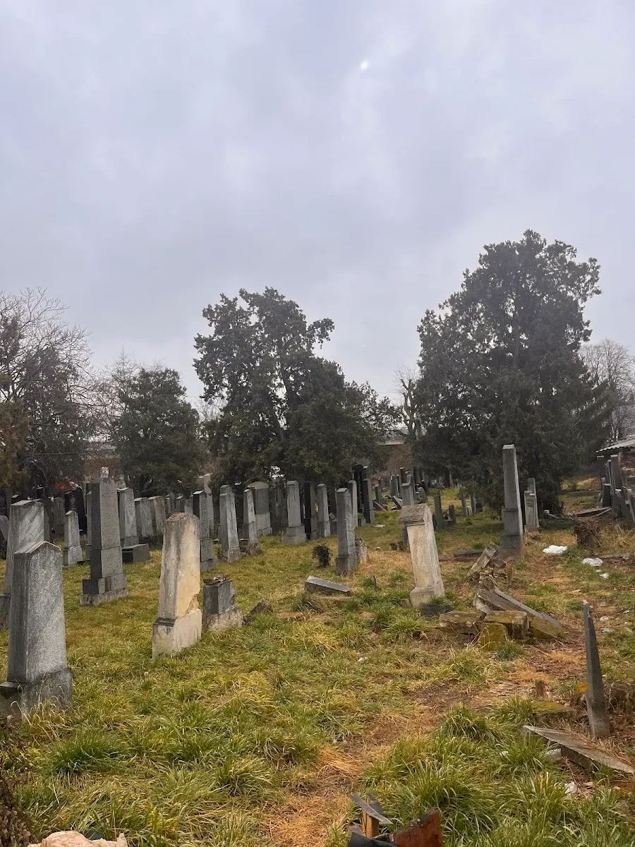 Jüdischer Friedhof Floridsdorf — foto 6
