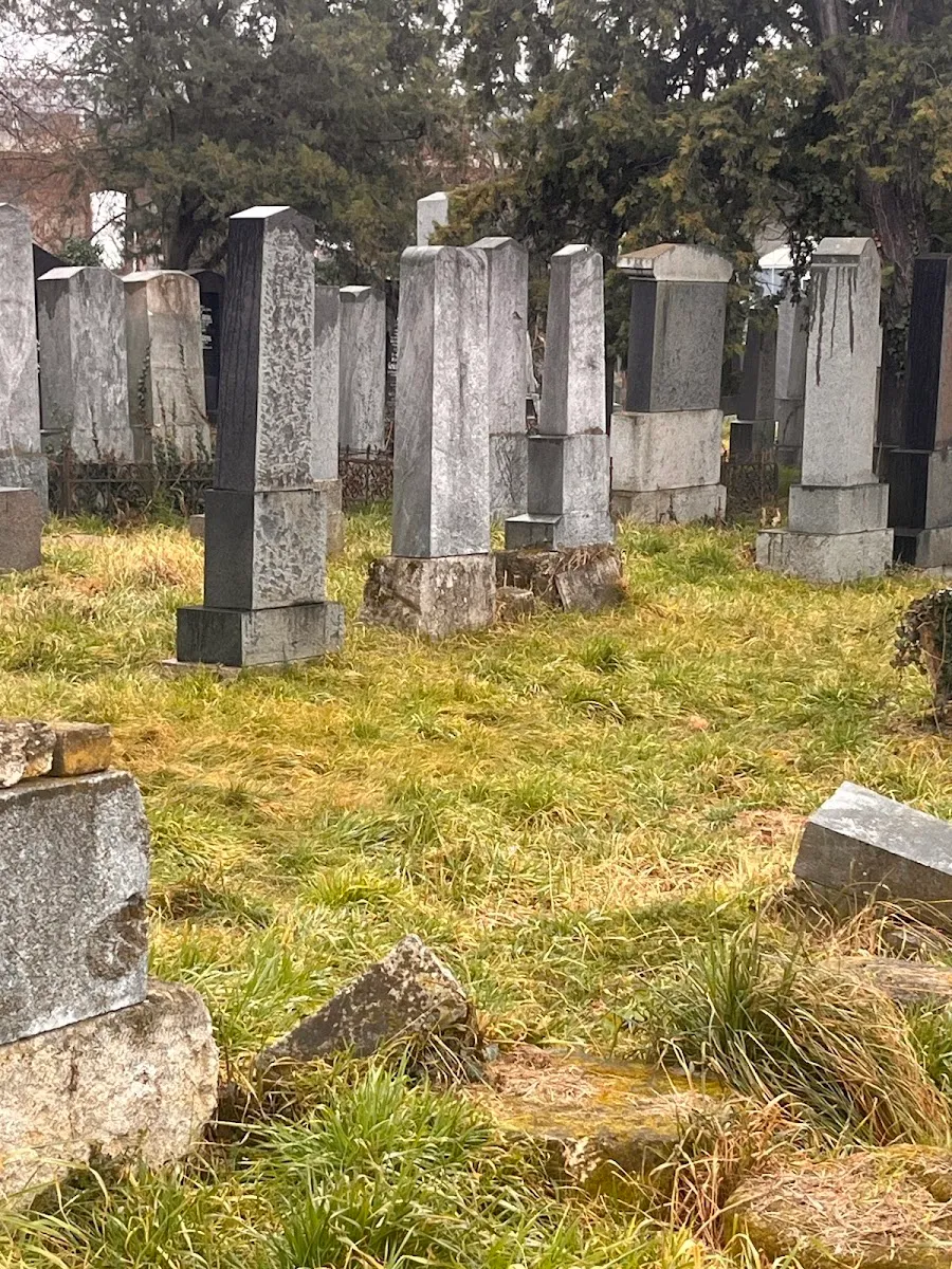 Jüdischer Friedhof Floridsdorf — foto 9
